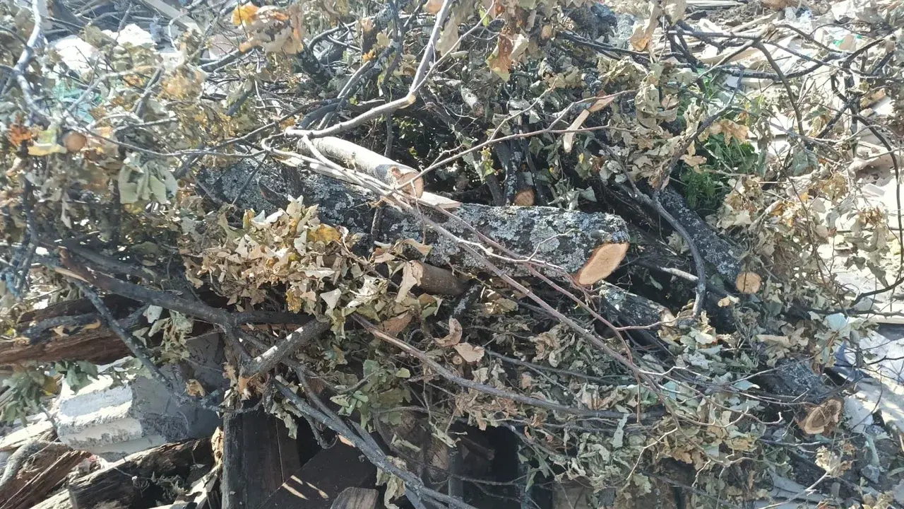 Wood waste