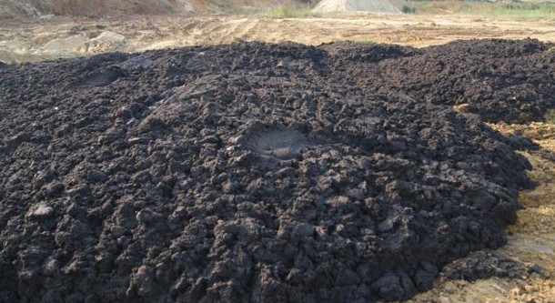 Sludge sewage sludge